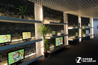 企業文化的多元展示 從平板電視到化妝品的品牌創新之路